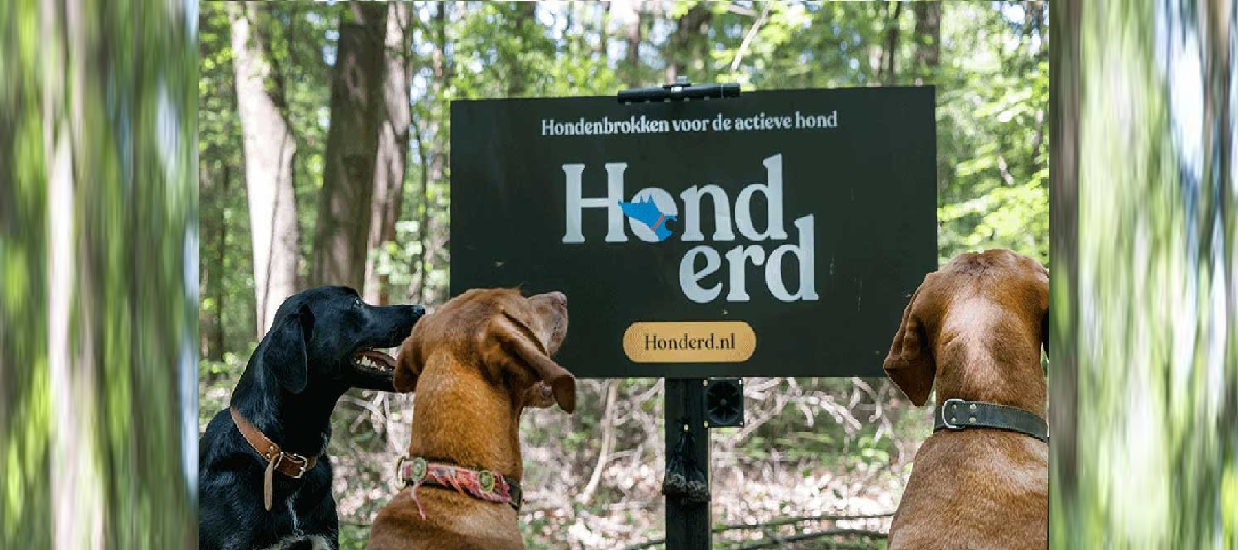 Hundefuttermarke kreiert Weltneuheit mit Werbeschild für Hunde